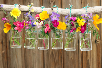 bunte Wiesenblumen in Glasbehältern