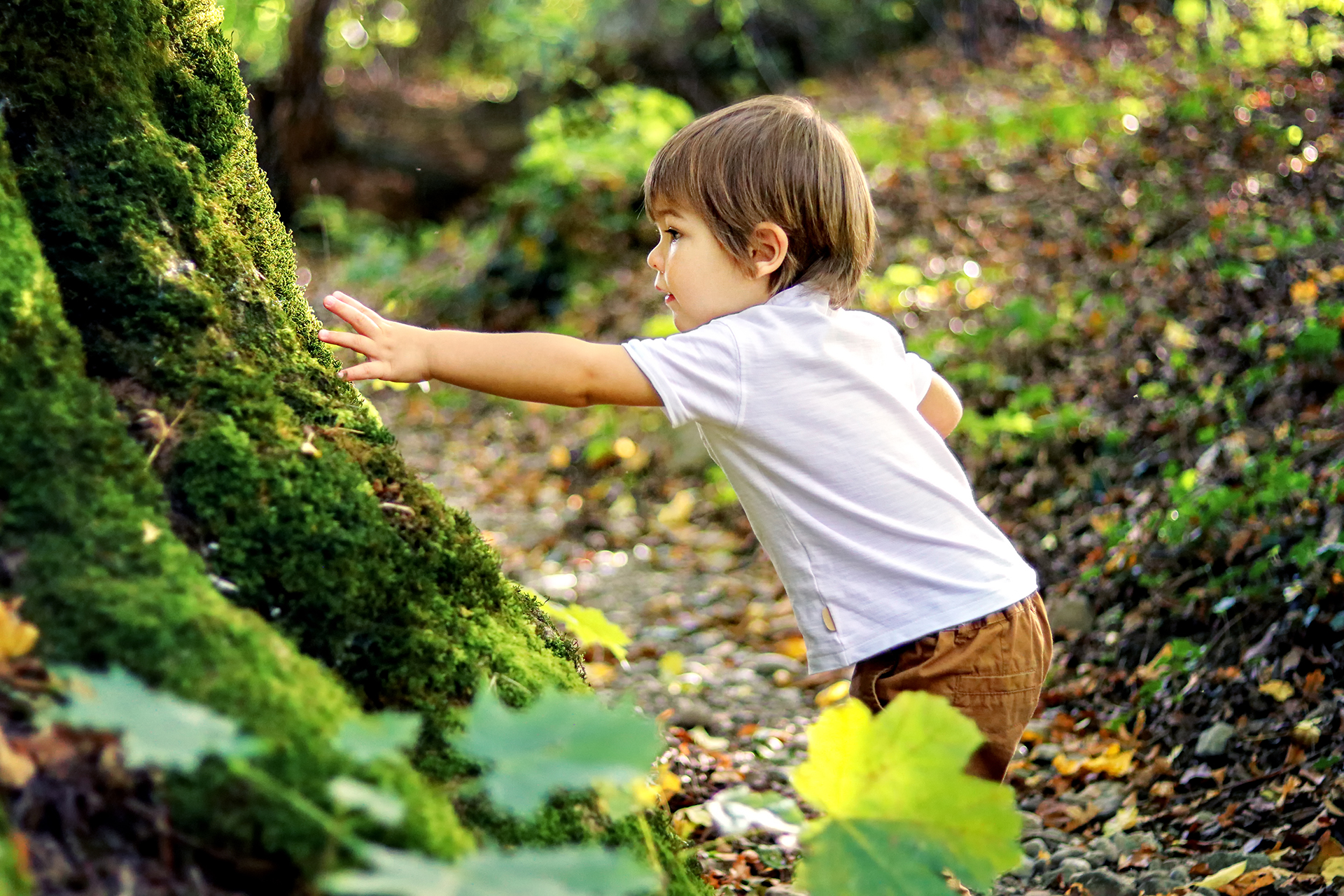 ein kleiner Junge berührt einen Baum 
