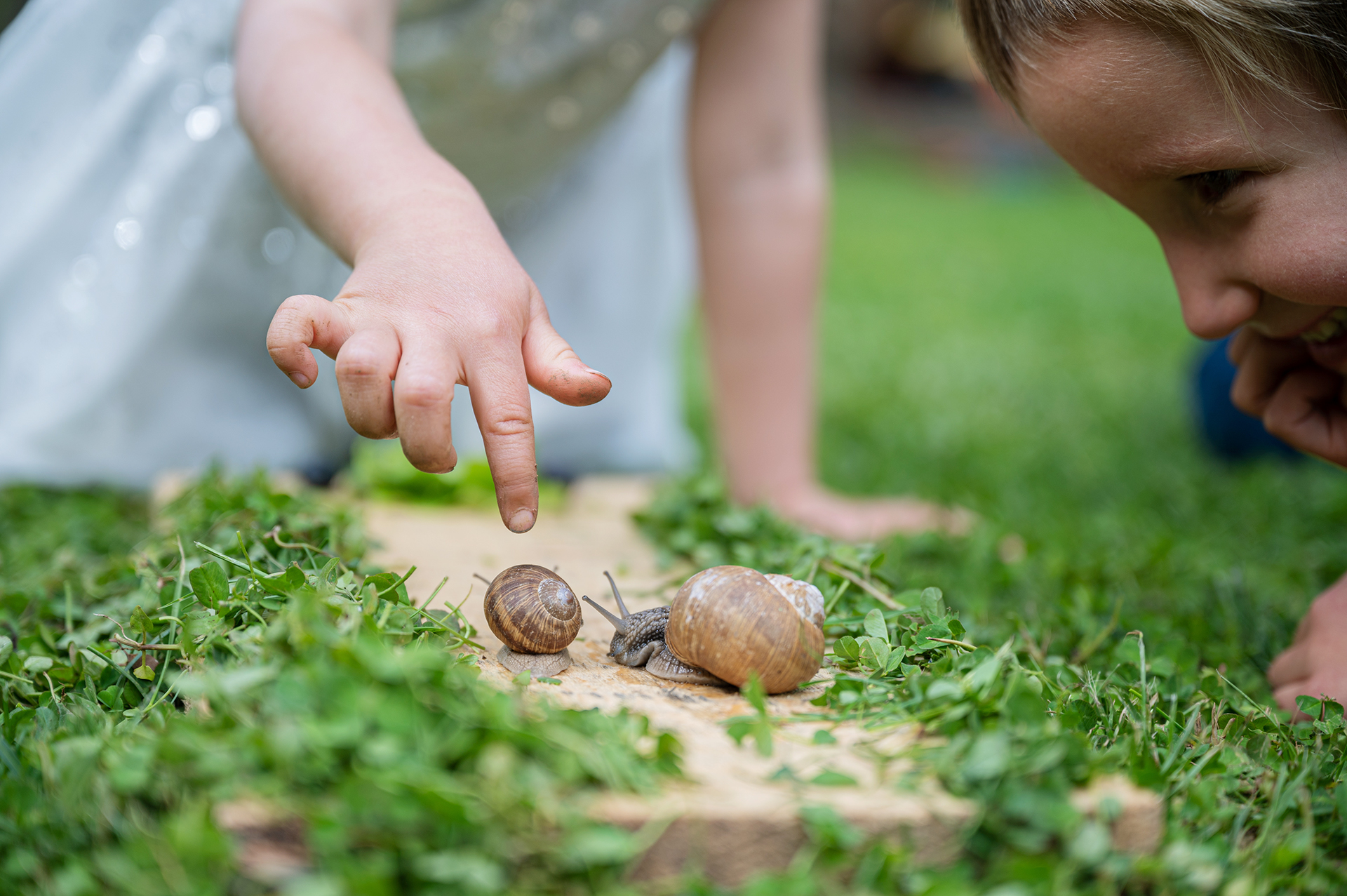 Zwei Kinder beobachten Weinbergschnecken.