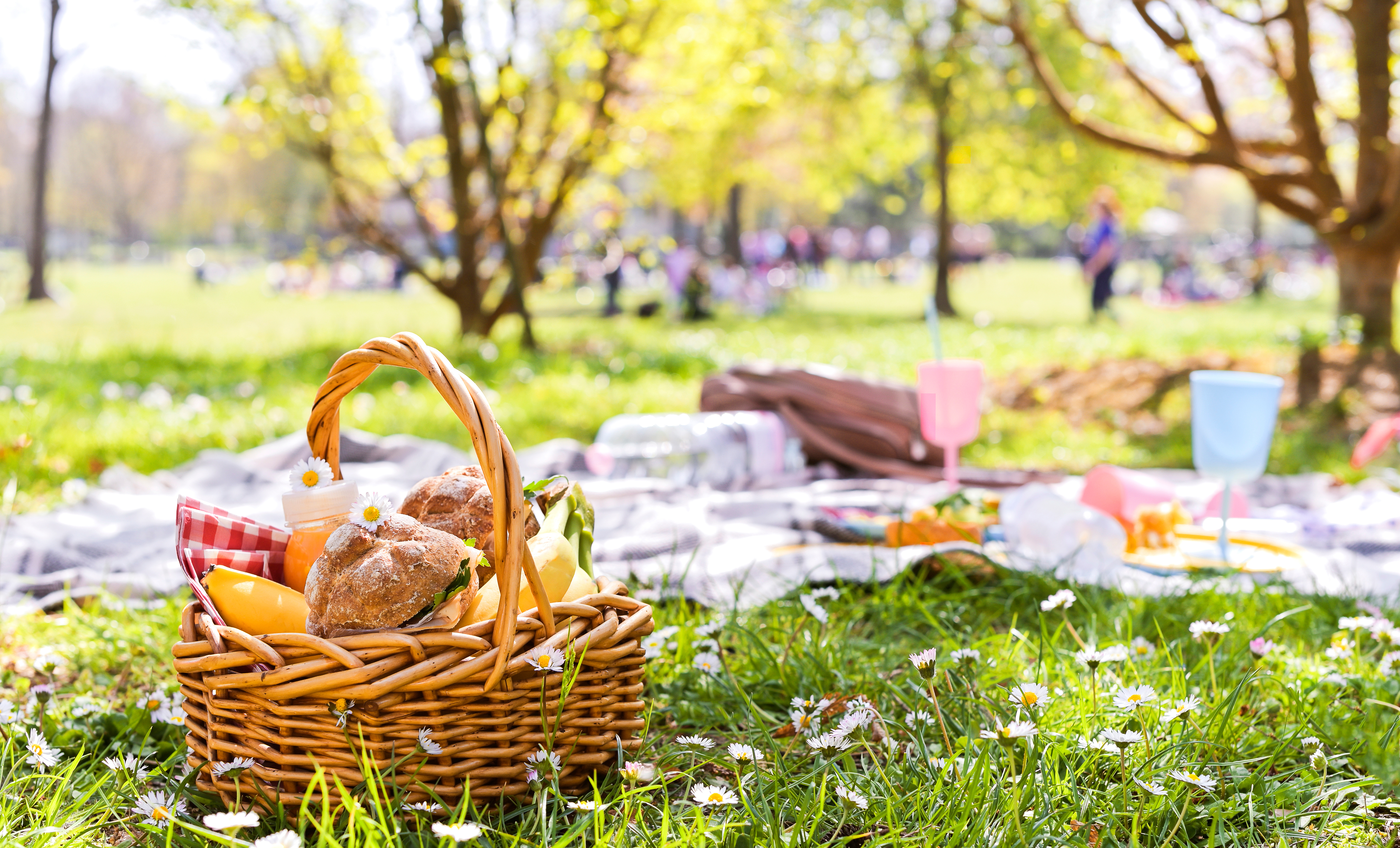 Ein gefüllter Picknick-Korb und eine Picknick-Decke auf einer Wiese.