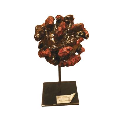 „Corona“ von Erwin Haslauer