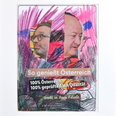 So genießt Österreich von Sara Brandstetter