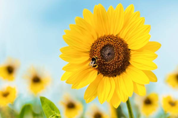 Veranstaltungen im Sommer