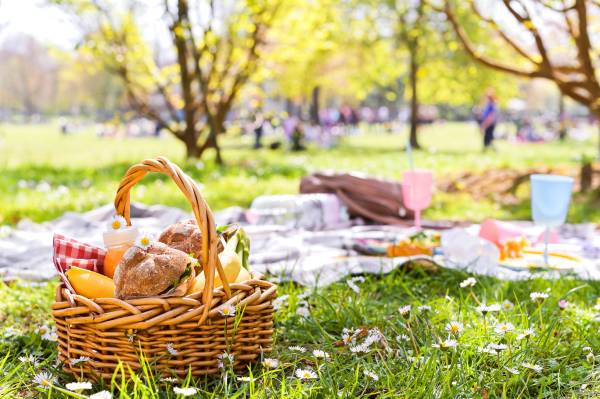 Raus aus dem Haus: Picknick mit Station Wien