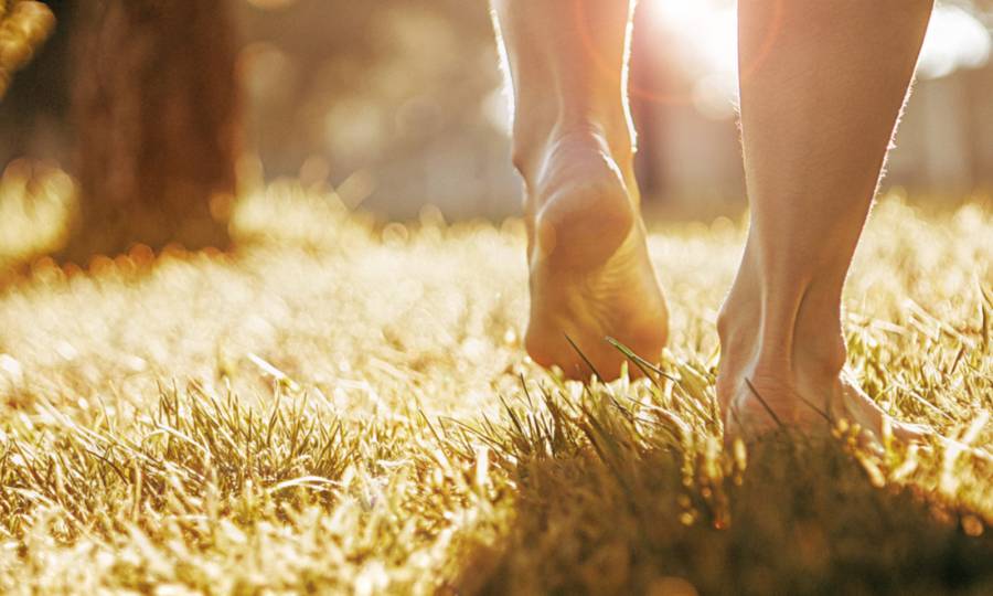 Tag 6: Der Zehen-Wackel-Check 