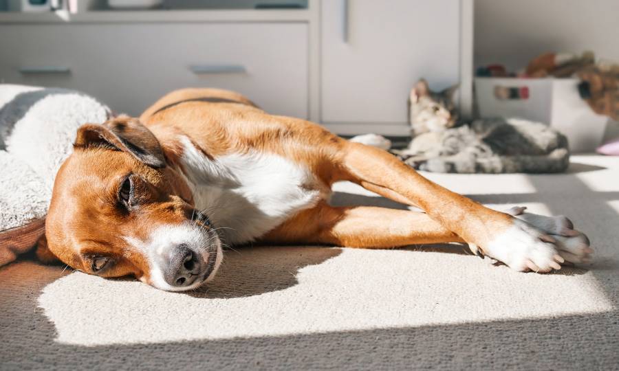 Tag 10: Dein Sonnenschein-Moment