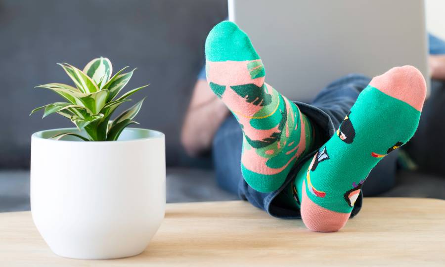 Tag 18: Farbe bekennen