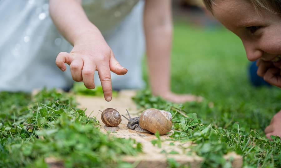 Tag 19: Wunder im Mikrokosmos