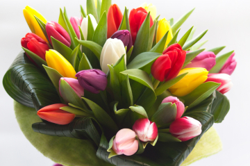 Blumenstrauß aus Tulpen