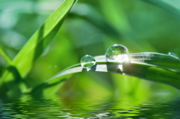 Workshop – Methoden der Selbstfürsorge lernen