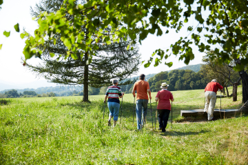 Menschen wandern auf einer Wiese mit Bäumen