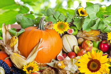 Herbstliches Motiv mit orangenem Kürbis, Kastanien und Sonnenblumen